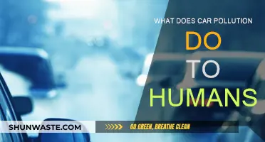 Car Pollution: Its Impact on Human Health