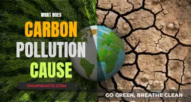 Unveiling the Impact: Carbon Pollution's Devastating Effects