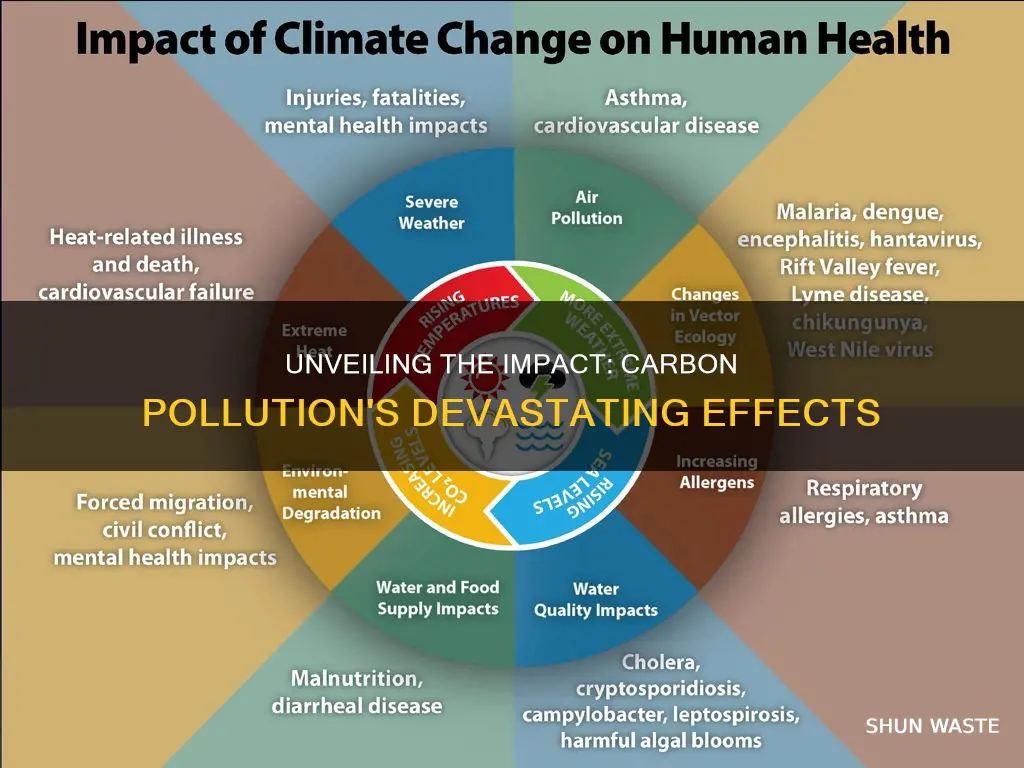 what does carbon pollution cause