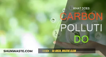 Carbon Pollution: A Global Threat to Our Planet