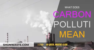 Carbon Pollution: What's the Meaning and Impact?
