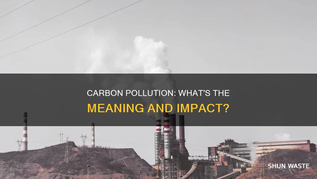 what does carbon pollution mean