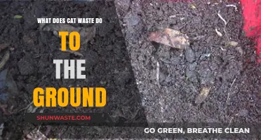 The Impact of Cat Waste on Soil Health: A Comprehensive Guide