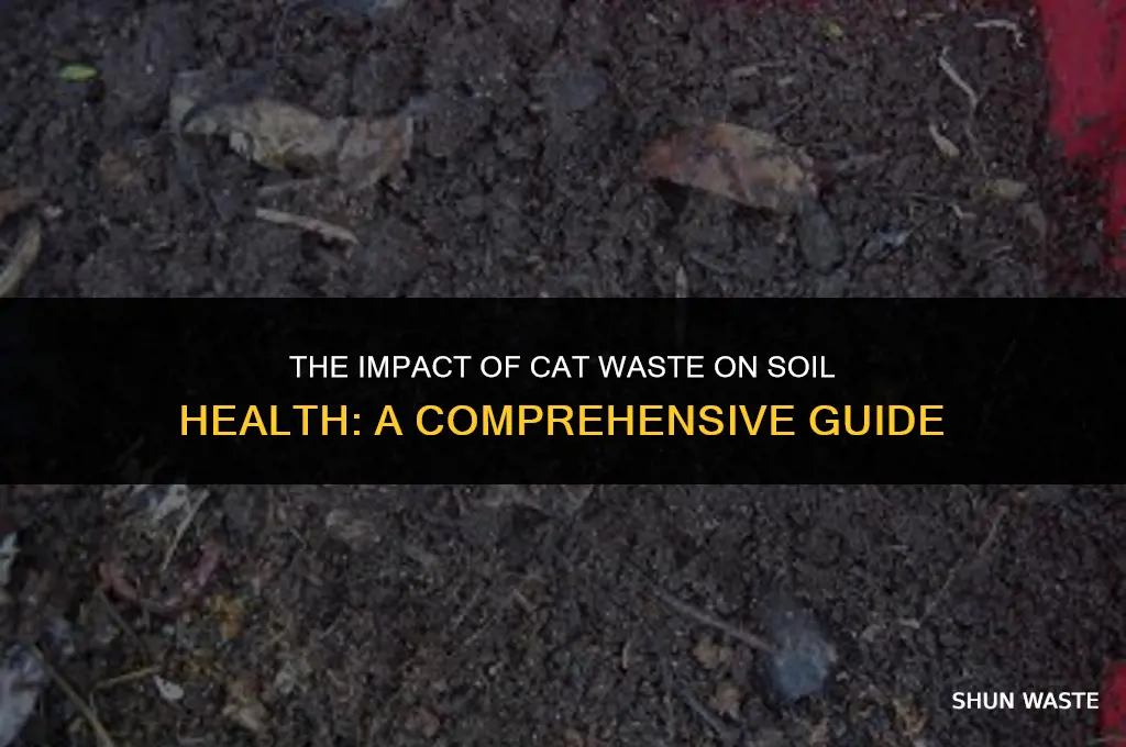 what does cat waste do to the ground