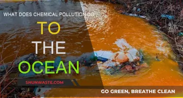Ocean's SOS: Understanding Chemical Pollution's Impact