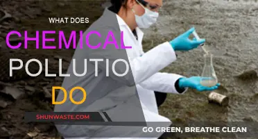 Chemical Pollution: Understanding its Impact and Consequences