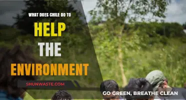 Chile's Green Initiatives: How the Nation Protects and Preserves the Environment