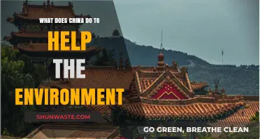 China's Green Revolution: Environmental Initiatives and Sustainable Practices