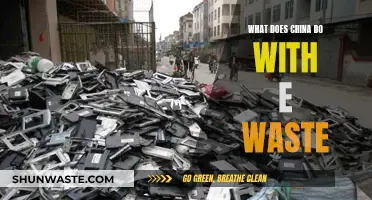 Decoding China's E-Waste Management: A Sustainable Approach