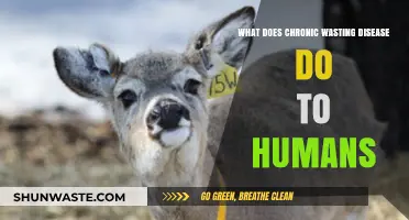 Chronic Wasting Disease: Potential Risks and Impacts on Human Health