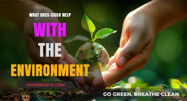 Cisco's Environmental Impact: Sustainable Solutions for a Greener Future