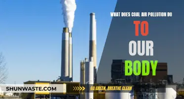Coal Pollution: How It Affects Our Health