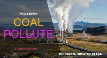 Coal Pollution: The Dirty Truth About Emissions
