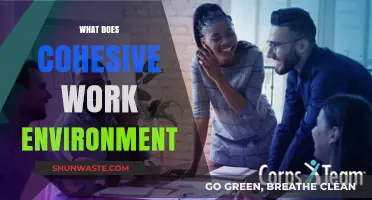 Creating a Cohesive Work Environment: Strategies for Team Unity and Productivity