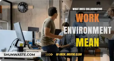 Understanding Collaborative Work Environments: Benefits, Strategies, and Best Practices
