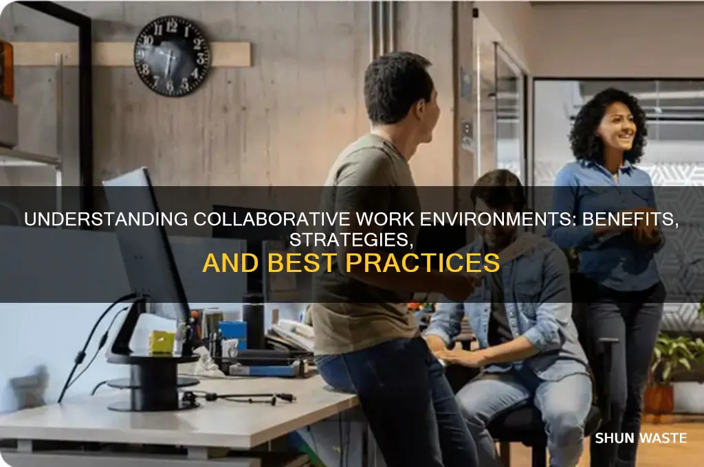 what does collaborative work environment mean