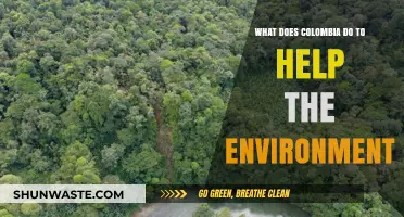 Colombia's Green Initiatives: Protecting Biodiversity and Combating Climate Change