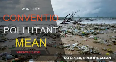 Understanding Conventional Pollutants: What Are They?