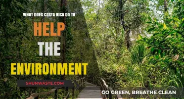 Costa Rica's Green Revolution: Sustainable Practices Protecting Our Planet