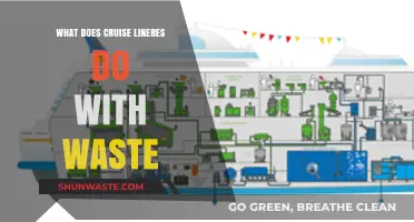 Eco-Friendly Voyages: Unveiling Cruise Liners' Waste Management Secrets