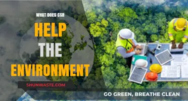 How Corporate Social Responsibility Protects and Sustains Our Environment