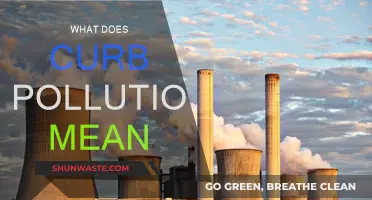 How Curbing Pollution Saves Our Planet