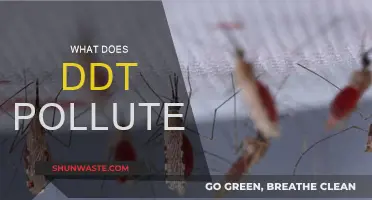 DDT's Devastating Impact: Polluting Our Planet, Poisoning Our Bodies