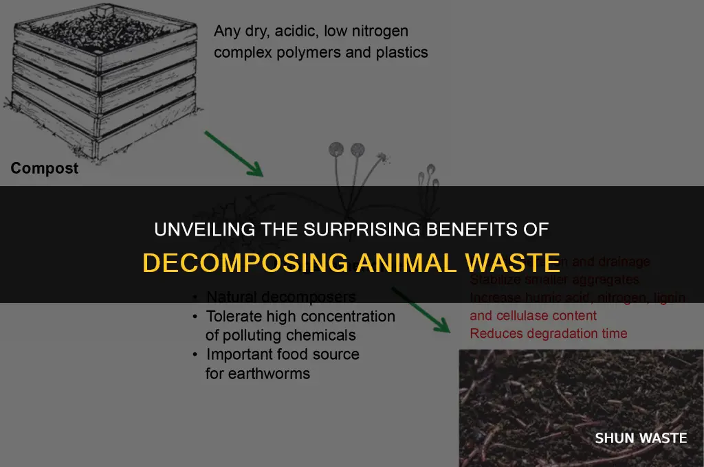 what does decomposing animal waste release into the ground