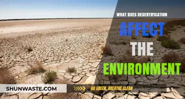 Desertification's Devastating Impact: How It Alters Ecosystems and Climate