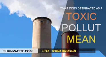 Toxic Pollutants: What Does This Designation Mean?