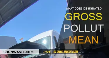 Understanding Designated Gross Polluter Status