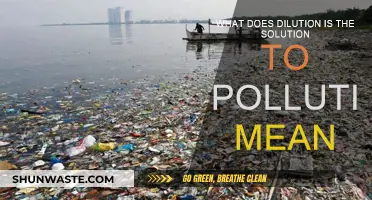 Dilution Solution: Pollution's Friend or Foe?