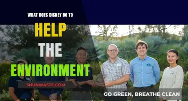 Disney's Green Initiatives: How the Company Protects Our Planet