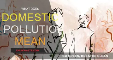 Understanding Domestic Pollution and Its Impact