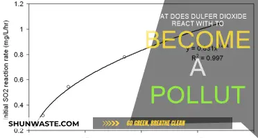 How Does Dulfer Dioxide Become a Pollutant?