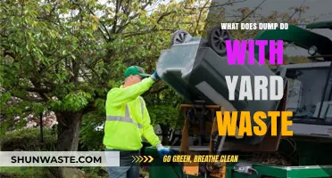 Eco-Friendly Yard Waste Management: The Role of Dump Services