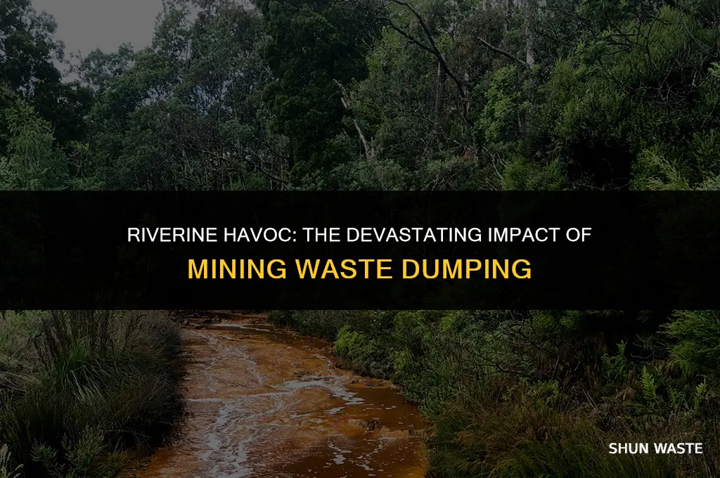 what does dumping mining waste do to rivers