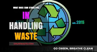 Decoding EAM: The Key to Efficient Waste Management Strategies
