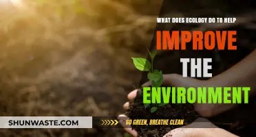 Ecology's Role: Enhancing Environmental Health and Sustainability Naturally