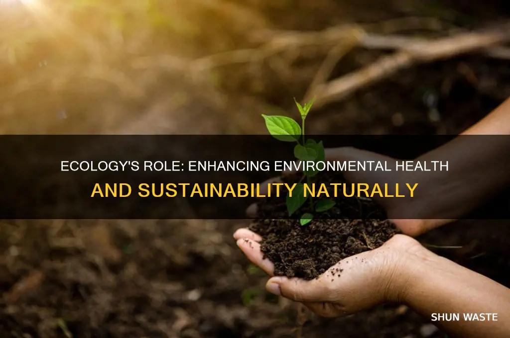 what does ecology do to help improve the environment