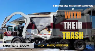 Unveiling the Journey: EDCO Waste Services' Trash Disposal Process