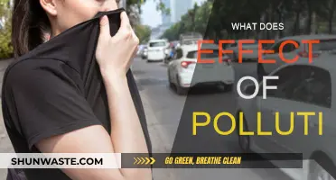 Pollution's Impact: Understanding the Devastating Effects