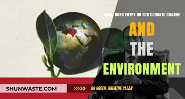 Egypt's Environmental Efforts: Combating Climate Change and Protecting Nature