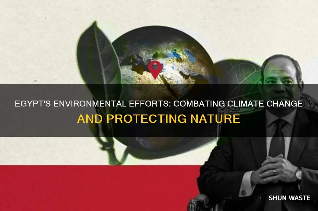 what does egypt do for climate change and the environment