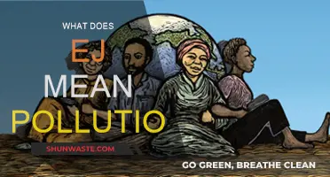 Understanding EJ: Pollution's Impact on Marginalized Communities