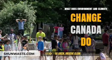 Understanding Environment and Climate Change Canada's Role and Impact