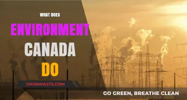 Understanding Environment Canada's Role in Protecting Our Climate and Ecosystems
