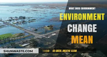 Understanding Environmental Change: Causes, Impacts, and Solutions for a Sustainable Future