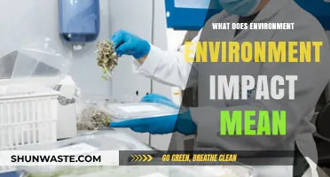 Understanding Environmental Impact: What It Means and Why It Matters