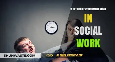 Understanding Environment's Role in Shaping Social Work Practice and Outcomes